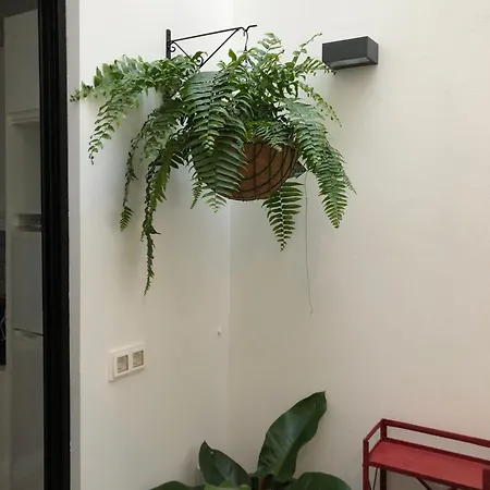 Apartman Dragos - Planta 2 Las Palmas de Gran Canaria